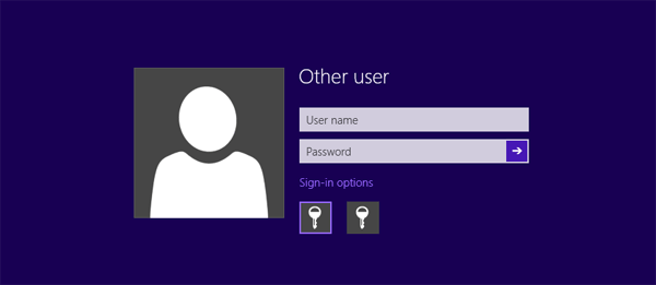 PIN code disappears from Windows 8 login screen