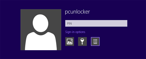 Windows 8 Sign-in Options