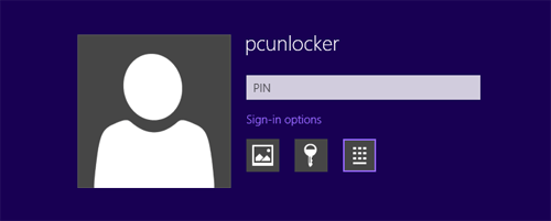 Windows 8 Password Recovery