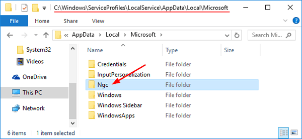 windows-pin-ngc-folder