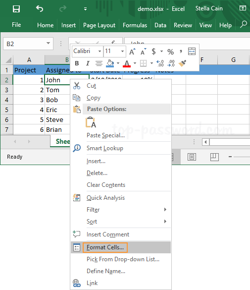 microsoft excel 2011 paste options