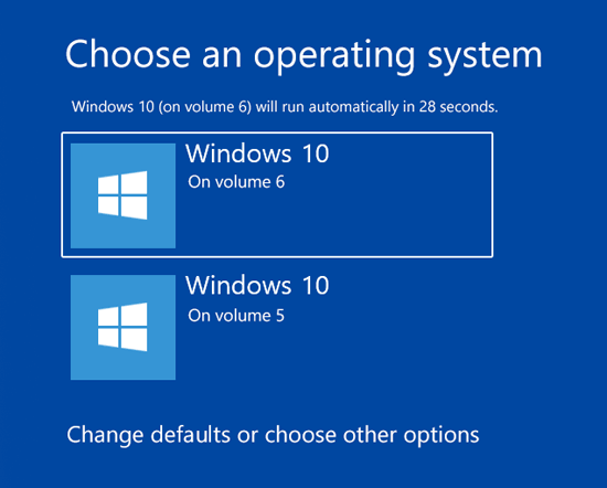 https://www.top-password.com/blog/wp-content/uploads/2019/03/select-windows-os-at-boot.png